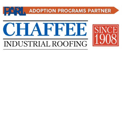Chaffee Roofing Business Name Logo