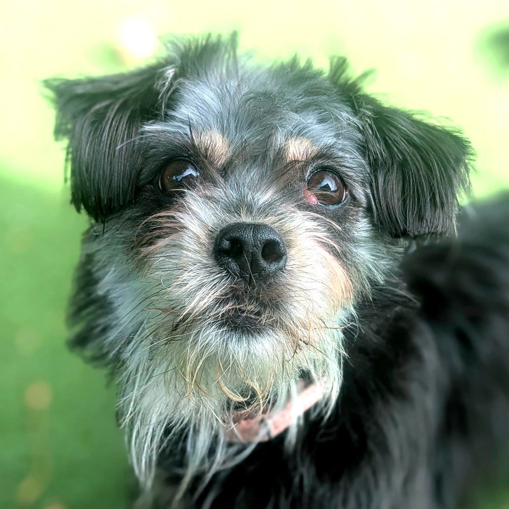 695ed6274bd318543c6ff0bccc21cfb7