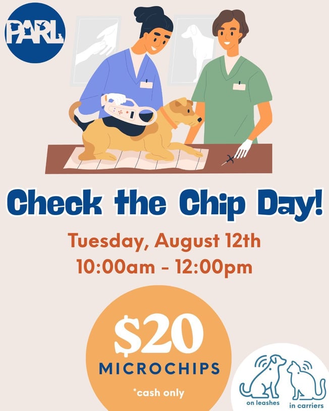 Check the Chip Day!