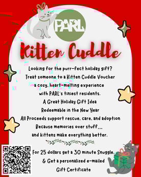 Kitten Snuggle (Instagram Post (45)) (1)