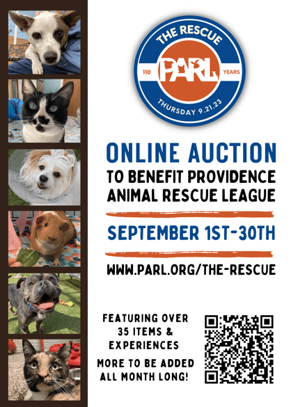 OnlineAuction_Promo-1