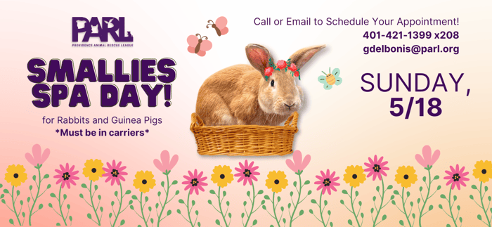 PARL Homepage Headers-Apr-14-2025-04-47-02-1529-PM