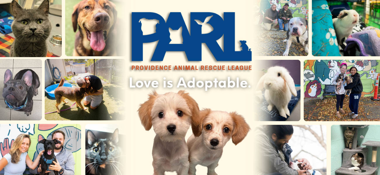 PARL Homepage Headers-Jan-15-2026-01-59-17-4447-PM