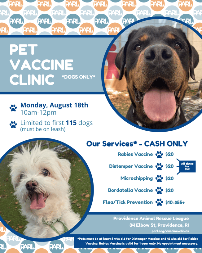 PARL Vet Clinic Promotion Flyer (Instagram Post (45))