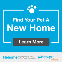 Rehome Link to Learn More