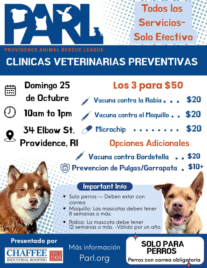Spanish Dog