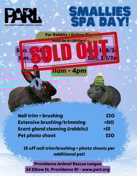 Summer Spa Days Flyer  (1)