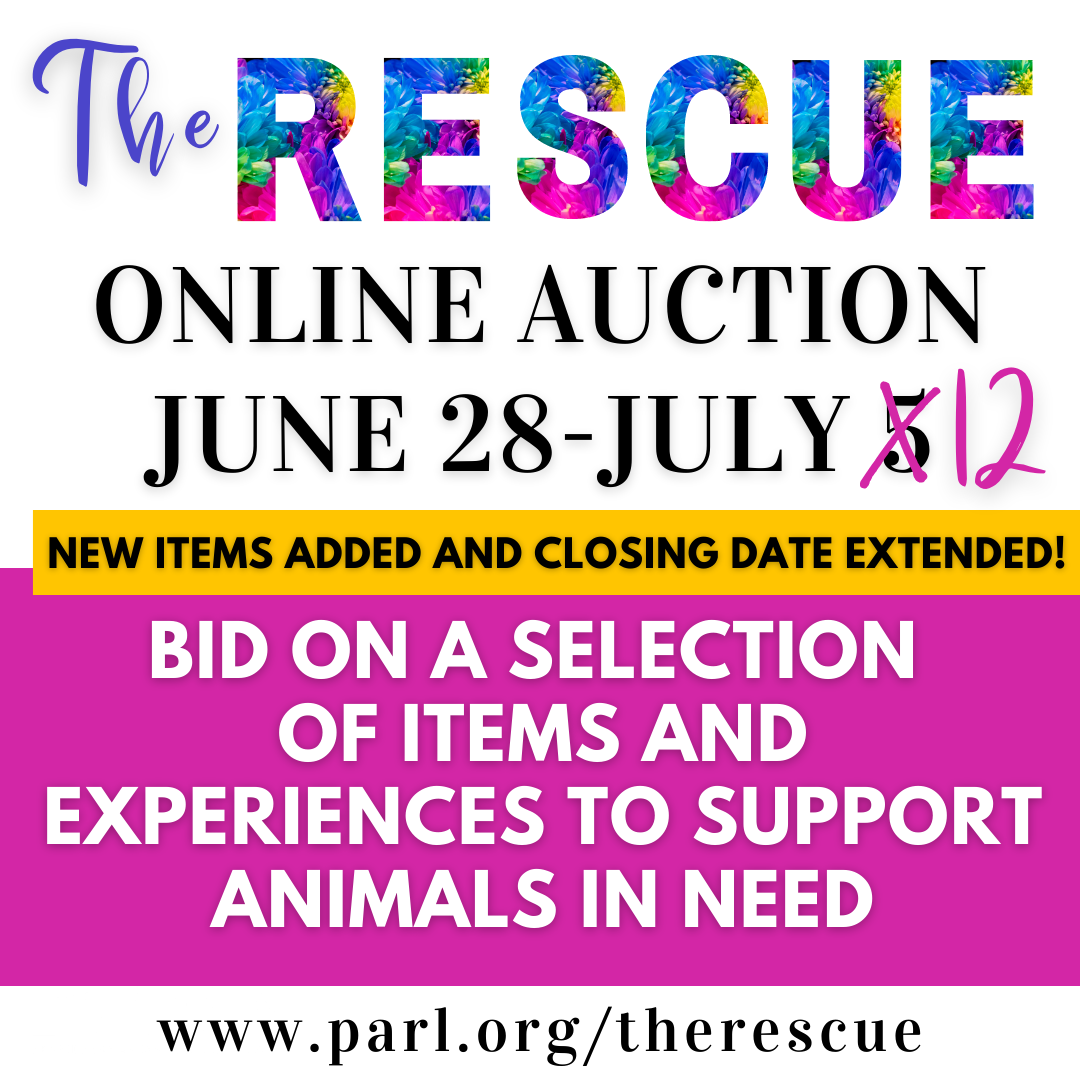 UpdatedOnlineAuction