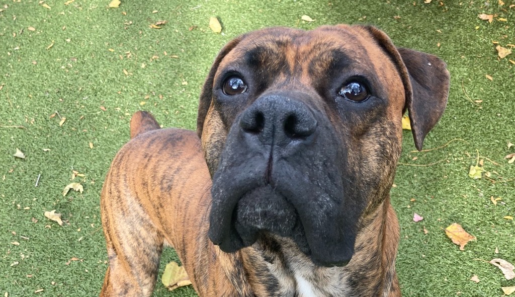 ac00236d36596bb045814cae4d1f5e66-1