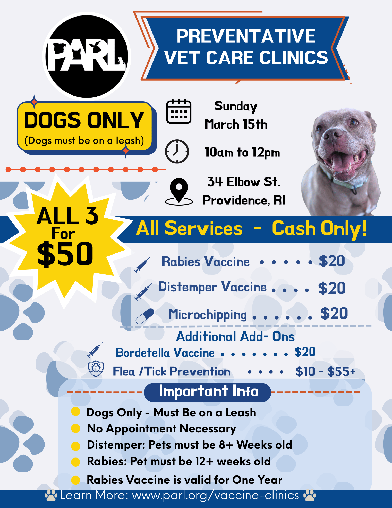 dog flyer eng