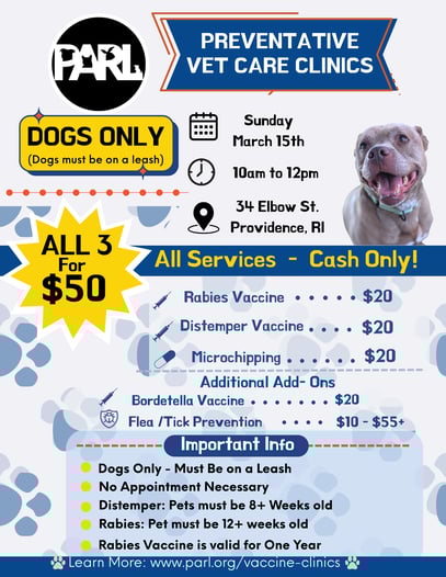 dog flyer eng