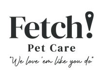 fetch logo