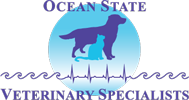 osvs_logo1