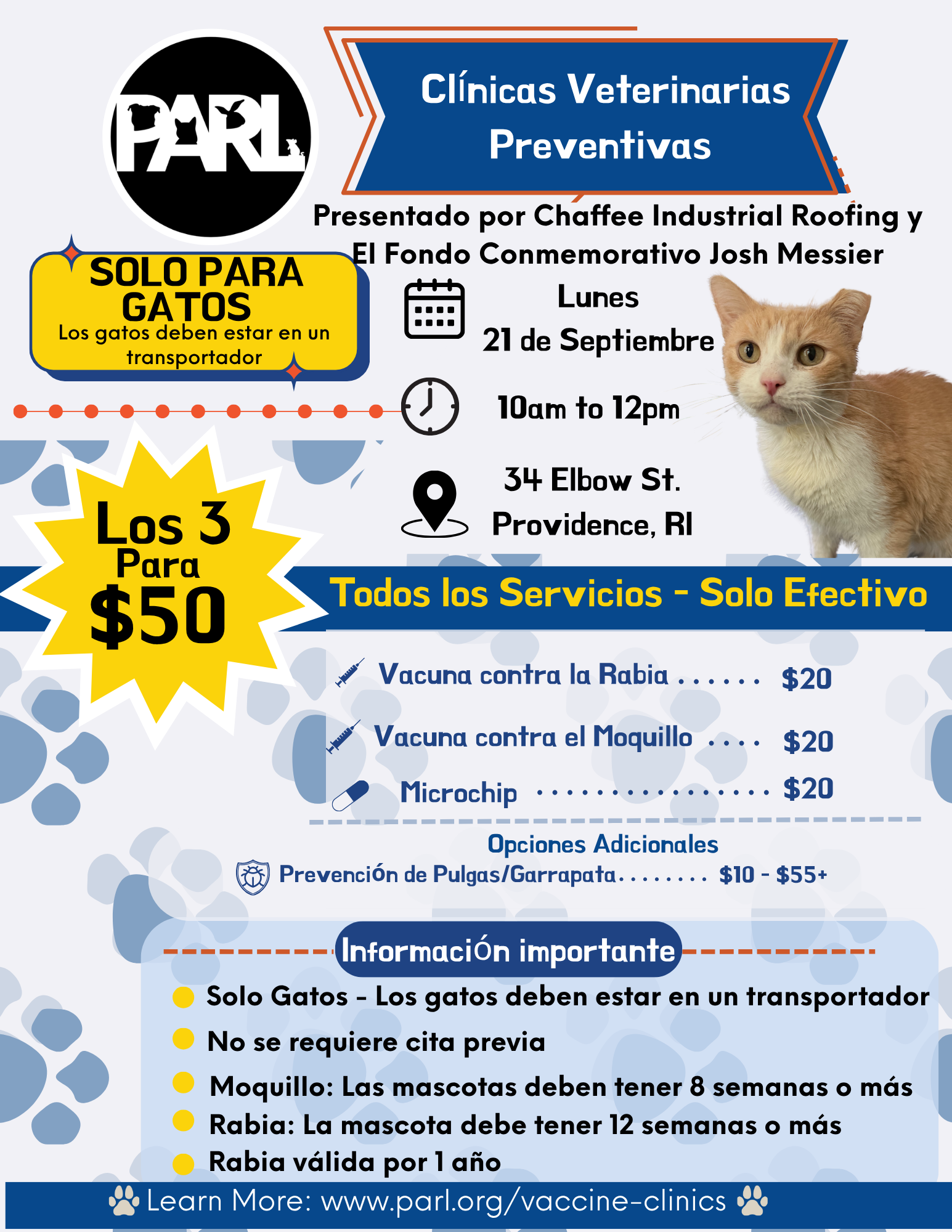 septspancat