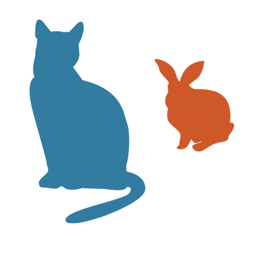 cat_and_bun_transparent