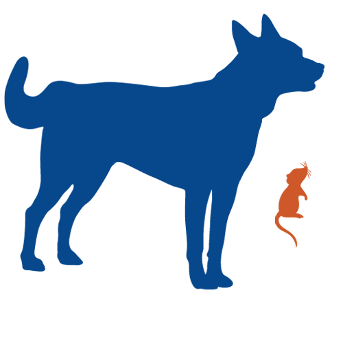 dog_and_mouse_transparent