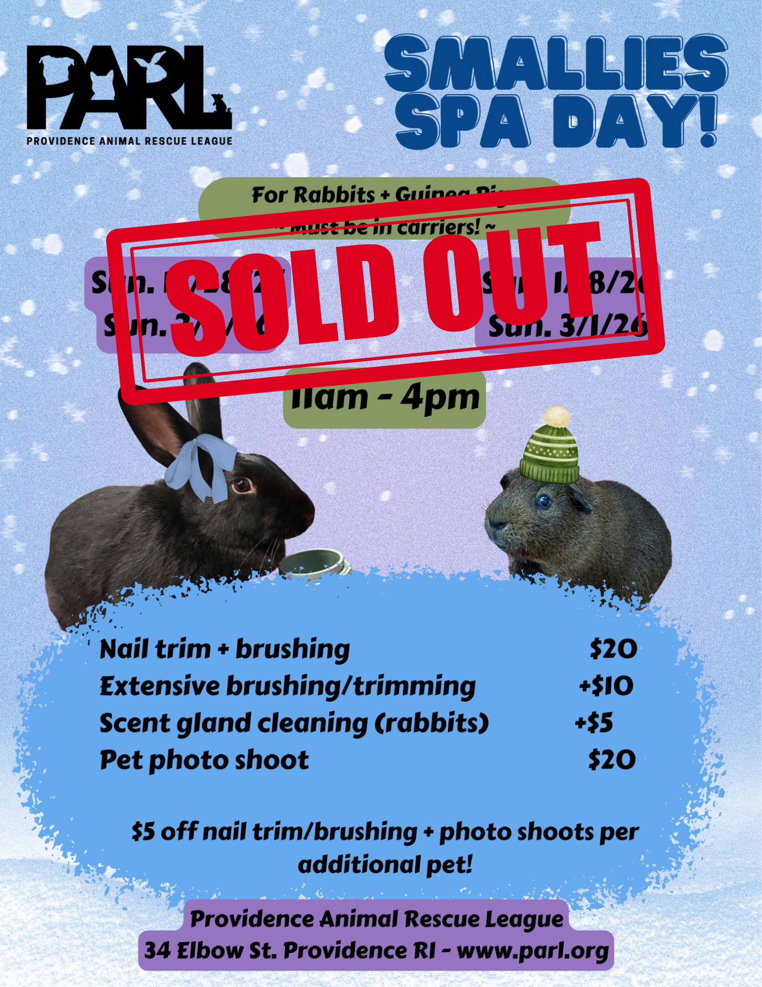 Summer Spa Days Flyer  (1)